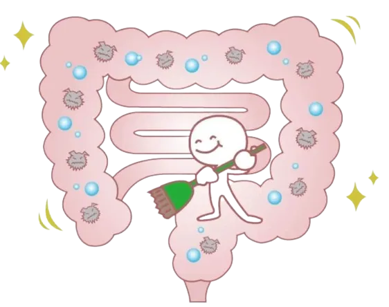 吃對、動夠、睡足，全方位呵護(hù)腸道健康