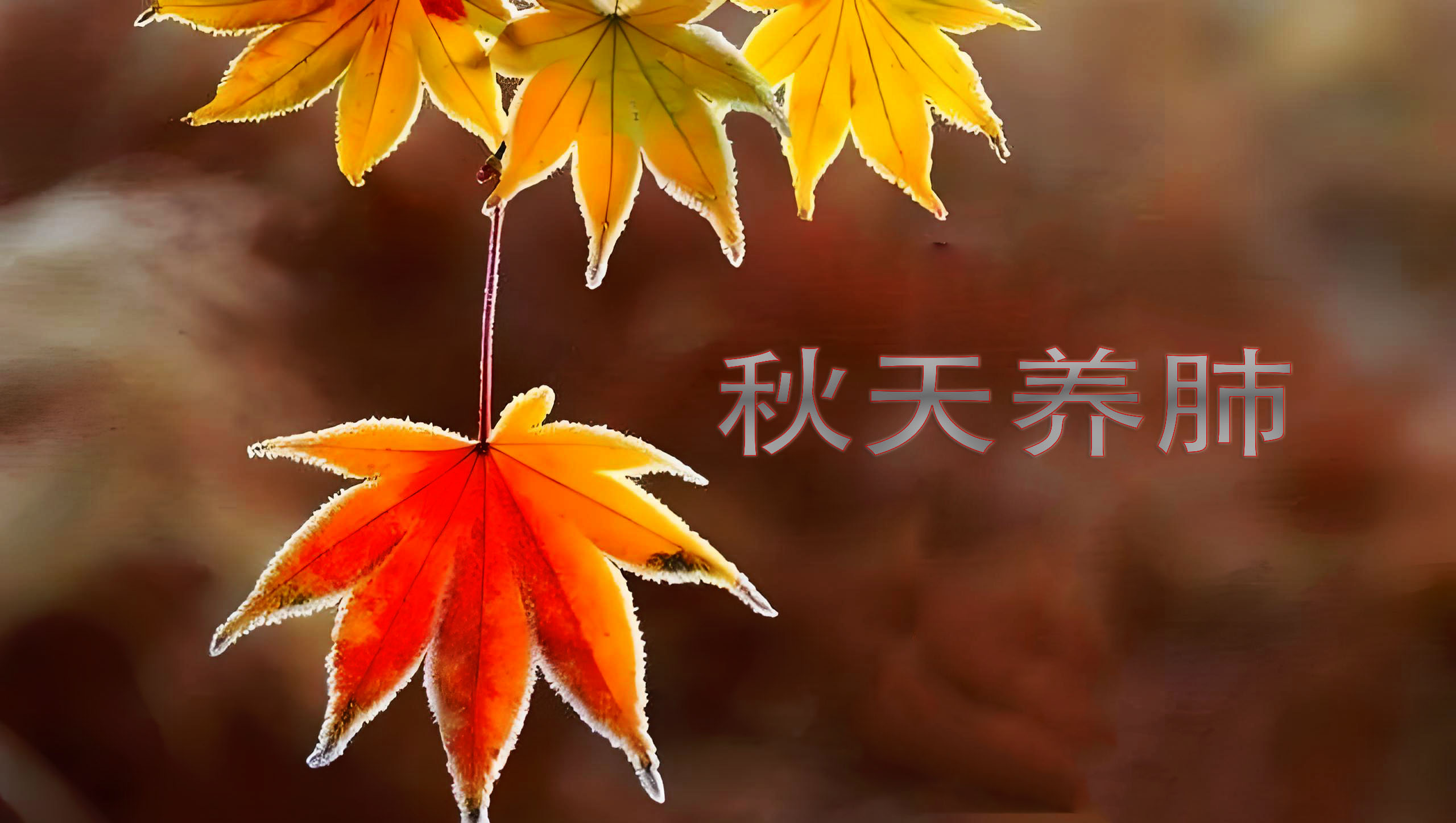 秋天養(yǎng)肺關(guān)鍵期，做到這幾點(diǎn)，排毒養(yǎng)顏不長(zhǎng)痘，養(yǎng)成好皮膚！